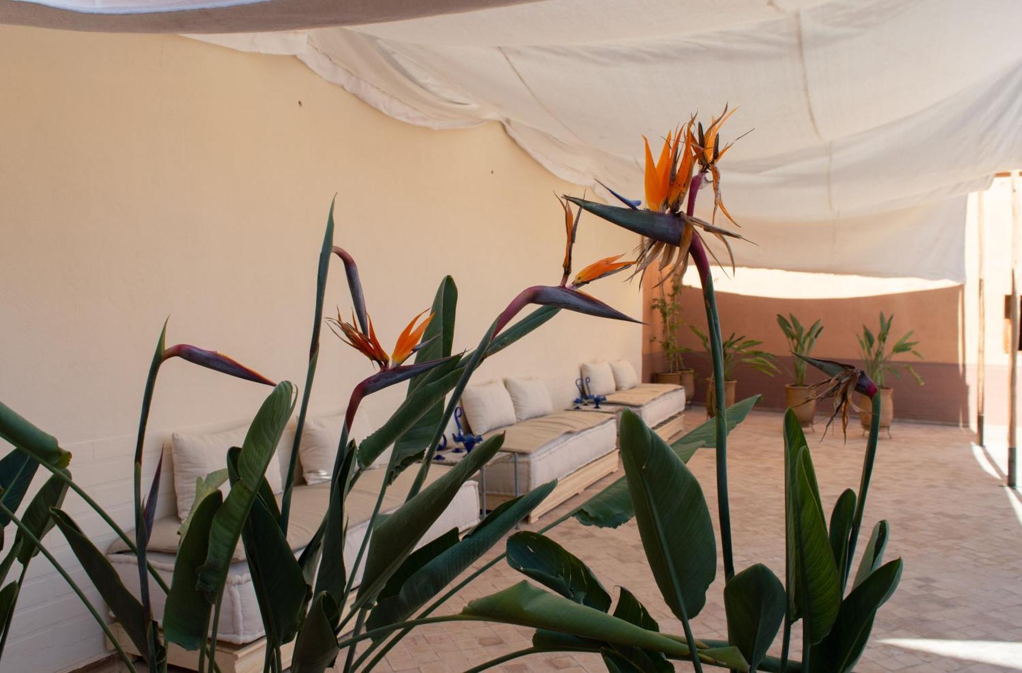 Ferme D'Hote Zomorroda Marrakesh Exterior photo