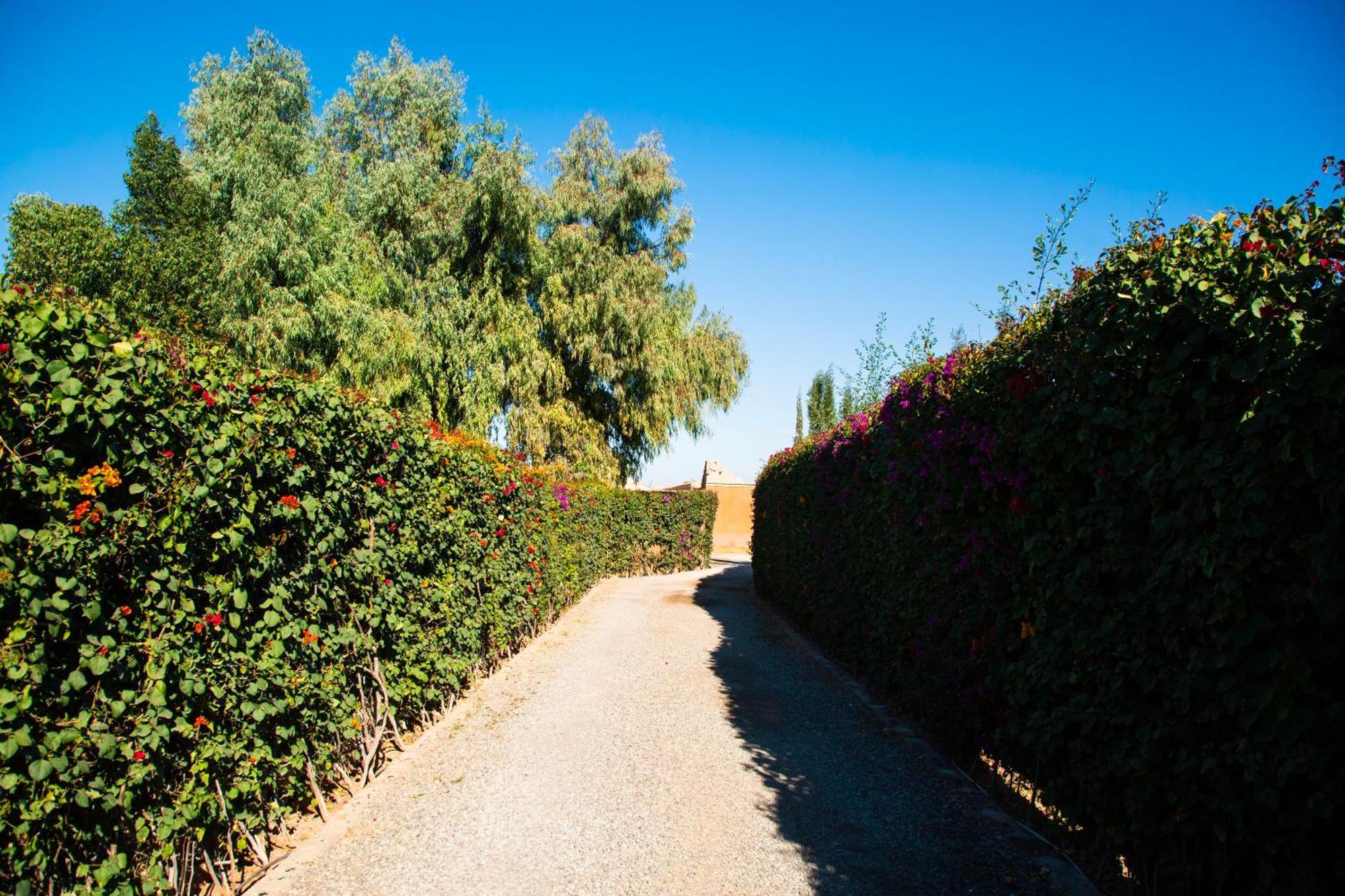 Ferme D'Hote Zomorroda Marrakesh Exterior photo